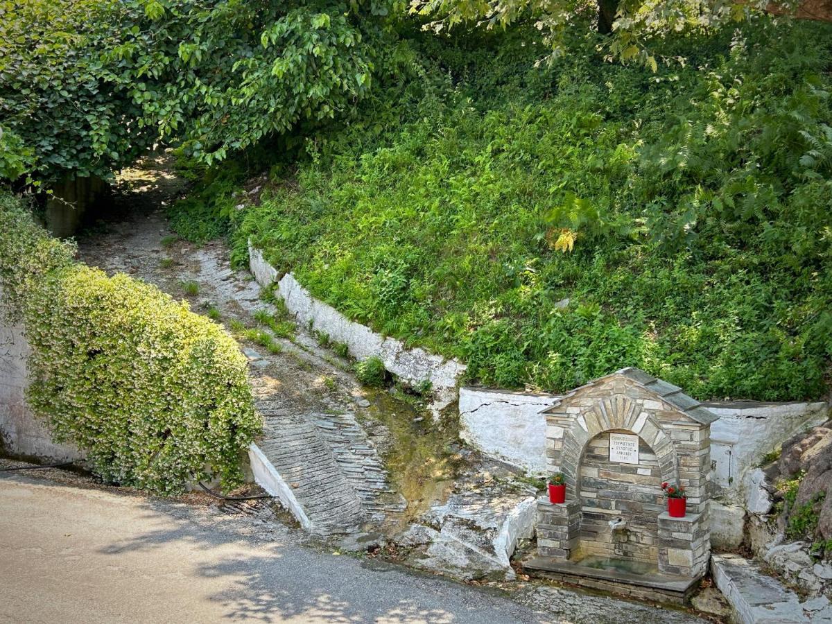 Отель Λευκή Καμέλια Anilio Pelion Экстерьер фото