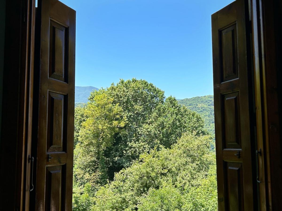 Отель Λευκή Καμέλια Anilio Pelion Экстерьер фото